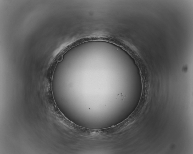 X0000116771160200912241157