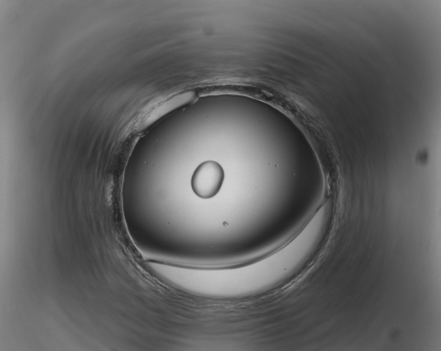 X0000116771161200912241157