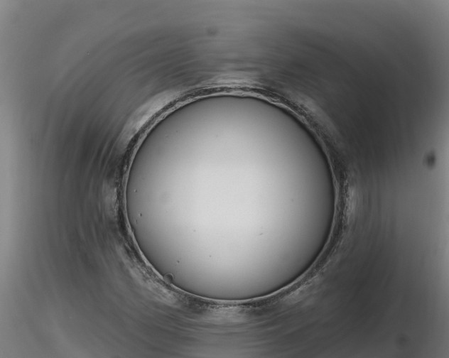 X0000116771162200912241157