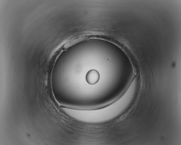 X0000116771165200912241157