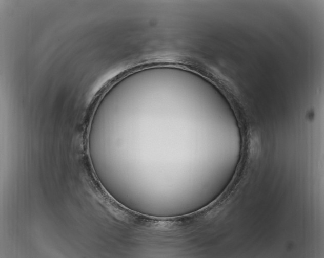 X0000116771166200912241157