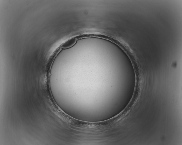X0000116771167200912241157