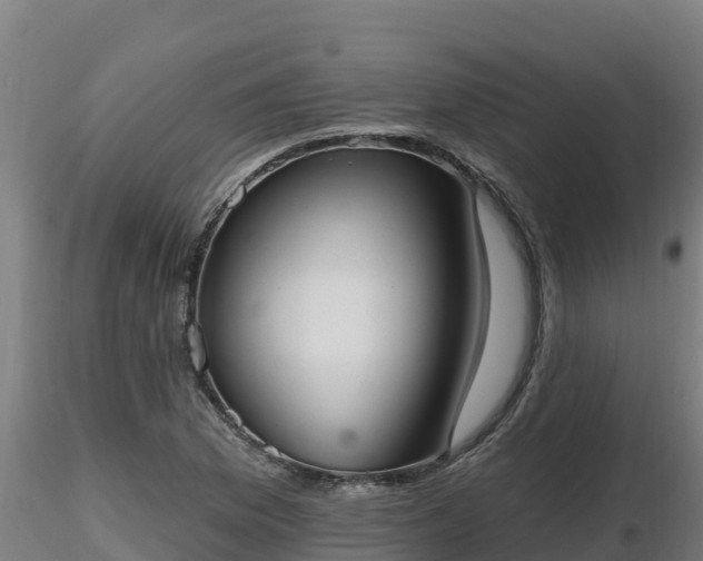 X0000116771169200912241157