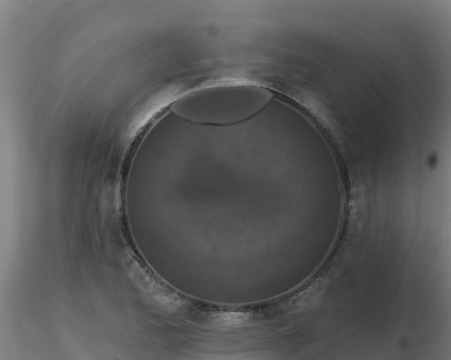 X0000116771173200912241157