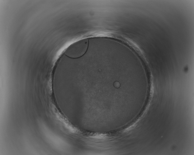 X0000116771174200912241157