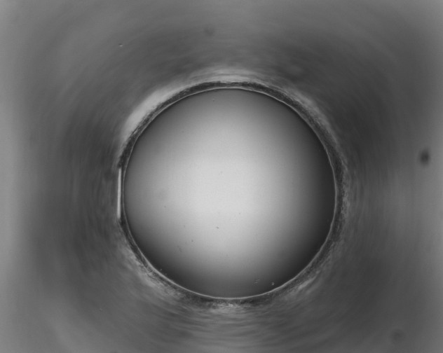 X0000116771175200912241157