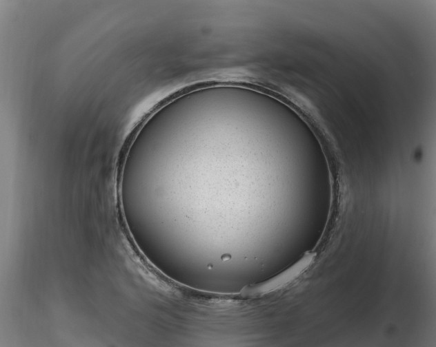 X0000116771176200912241157