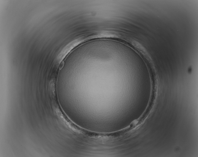 X0000116771177200912241157