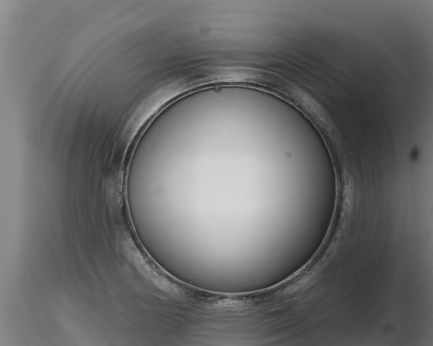 X0000116771178200912241157