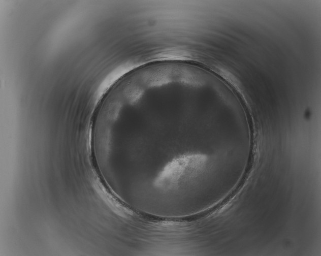 X0000116771179200912241157