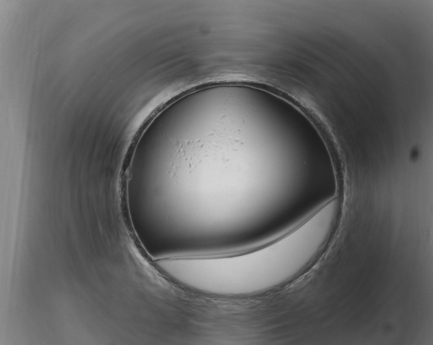 X0000116771181200912241157