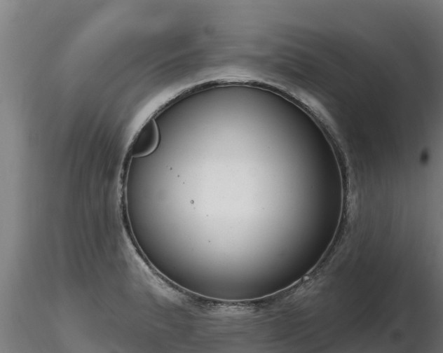 X0000116771183200912241157