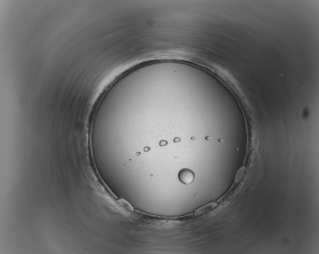 X0000116771184200912241157