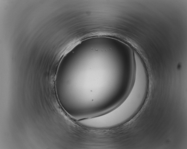 X0000116771185200912241157