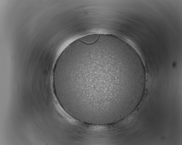 X0000116771187200912241157