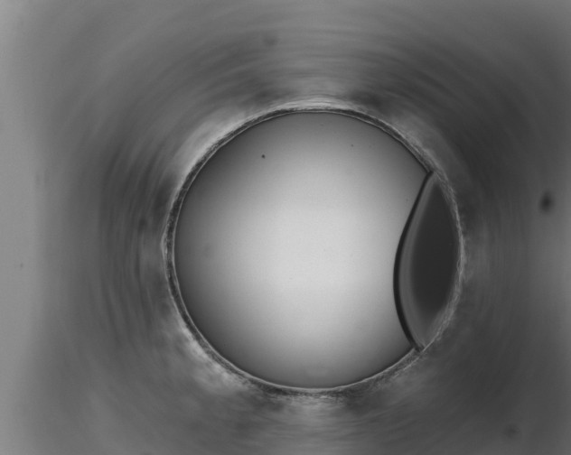 X0000116771189200912241157