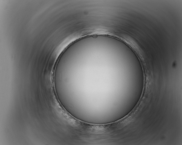 X0000116771190200912241157