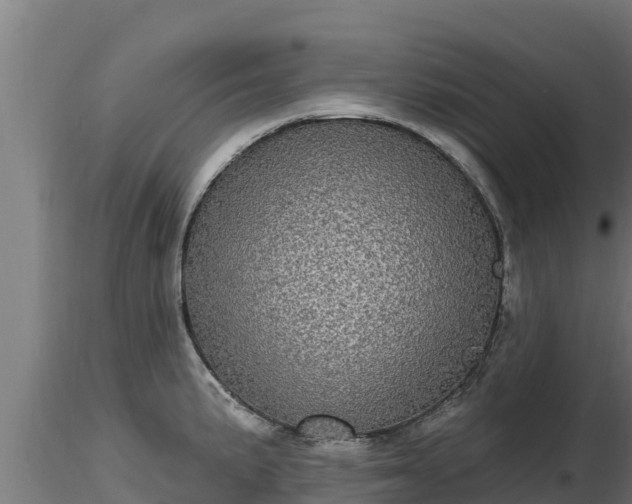X0000116771191200912241157
