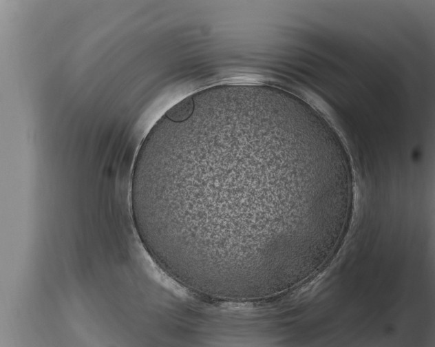 X0000116771194200912241157