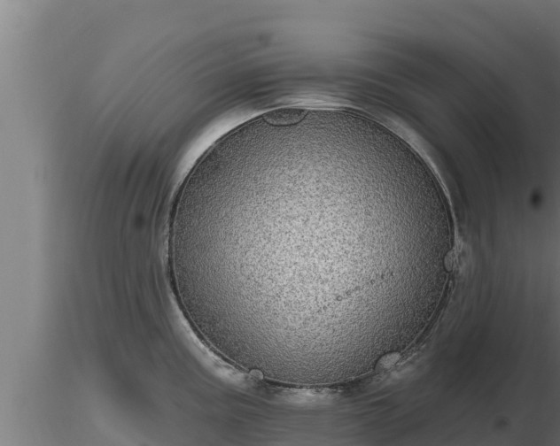 X0000116771195200912241157