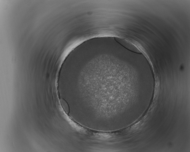 X0000116771197200912241157