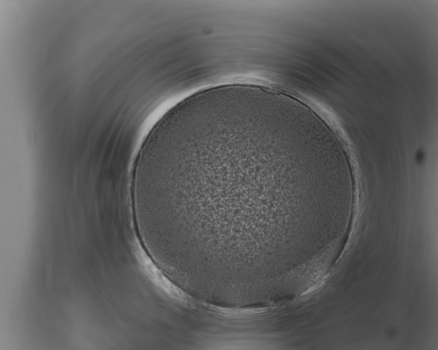X0000116771200200912241157