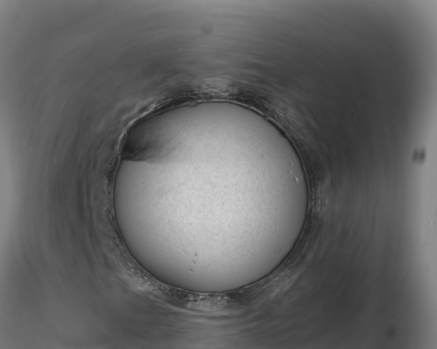 X0000116771201200912241156