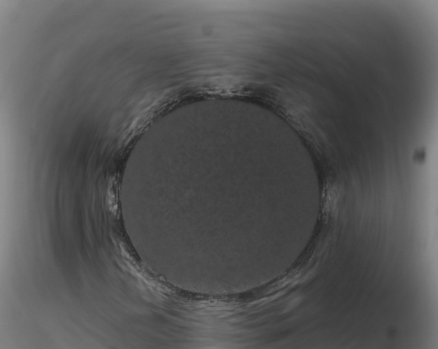 X0000116771202200912241156