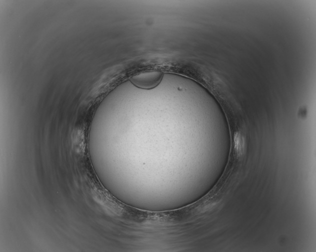 X0000116771203200912241156