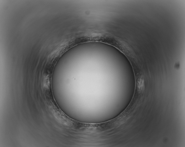 X0000116771204200912241156