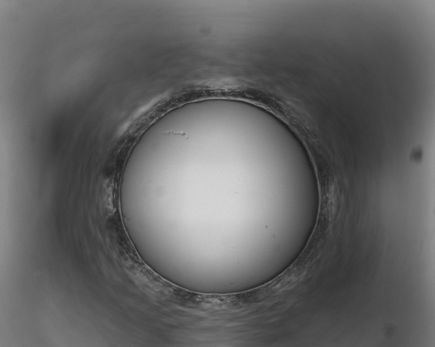 X0000116771205200912241156