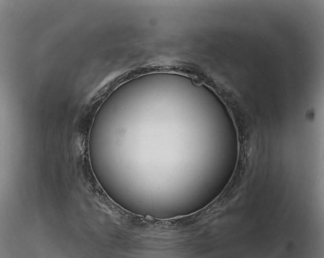 X0000116771206200912241156