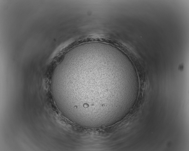 X0000116771207200912241156