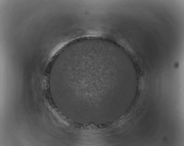 X0000116771208200912241156