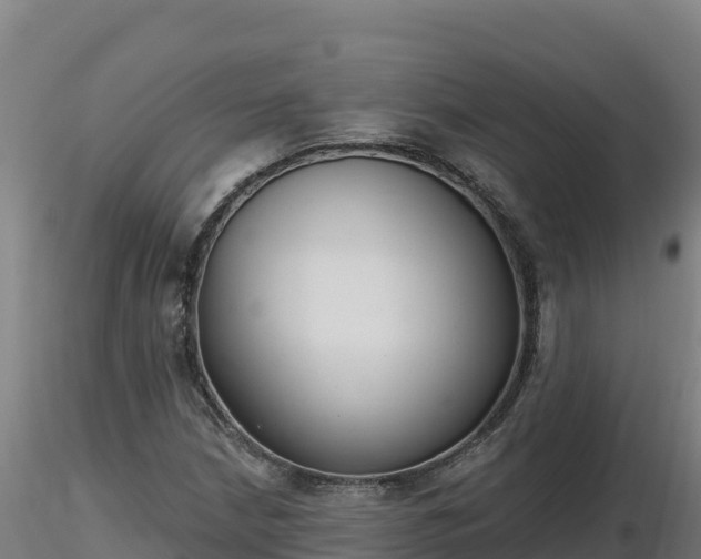 X0000116771210200912241156
