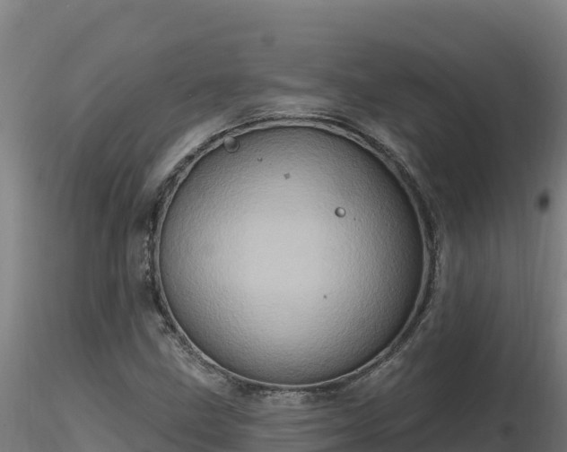 X0000116771211200912241156