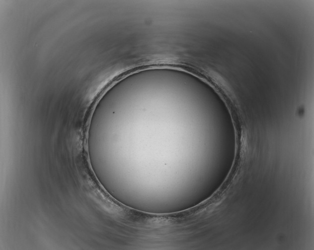 X0000116771212200912241156