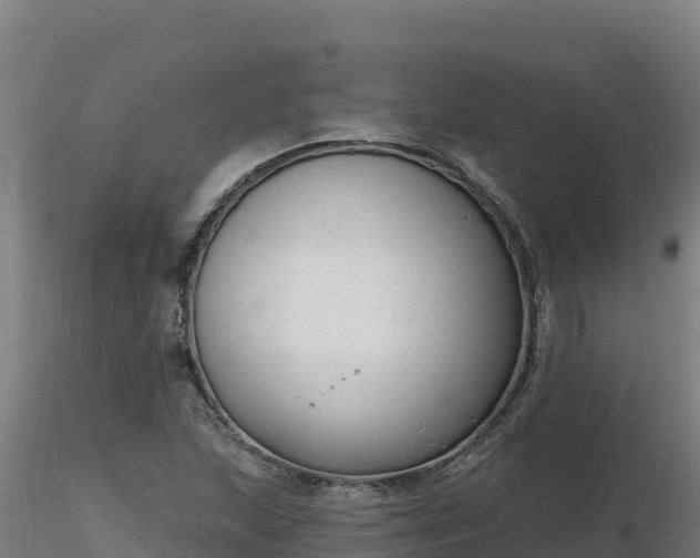 X0000116771215200912241156