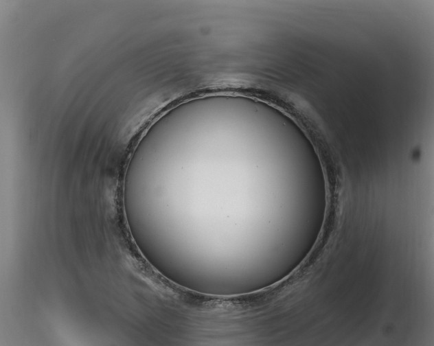 X0000116771217200912241156
