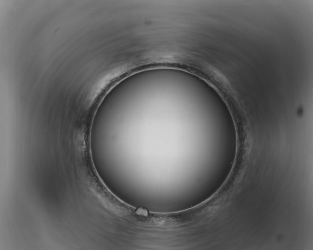 X0000116771218200912241156
