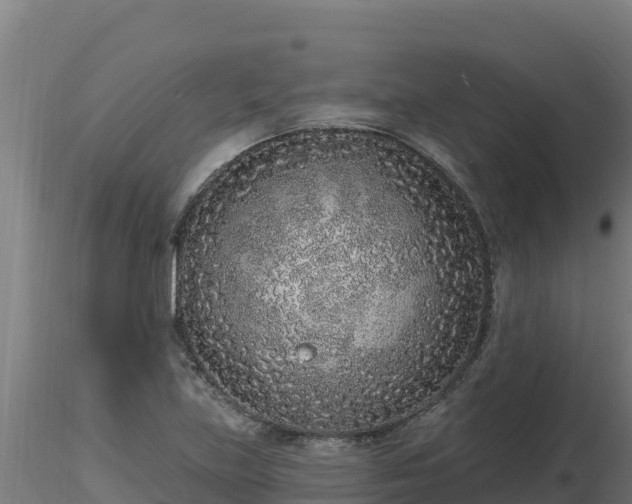 X0000116771219200912241156