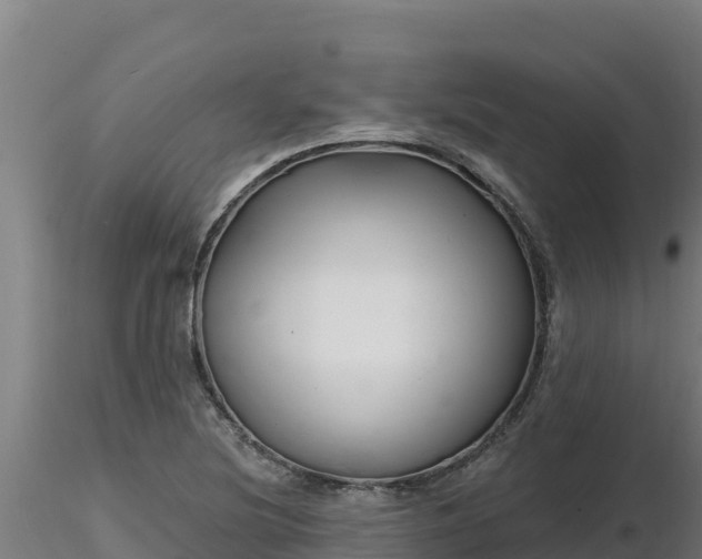 X0000116771220200912241156