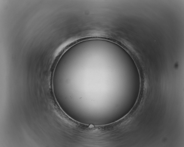 X0000116771222200912241156