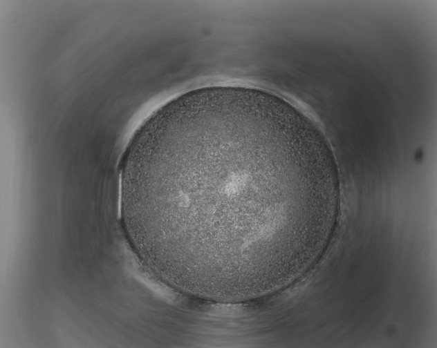 X0000116771223200912241156