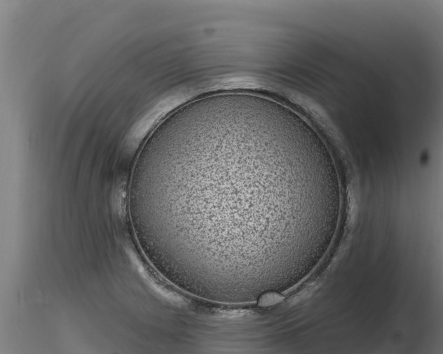 X0000116771225200912241156