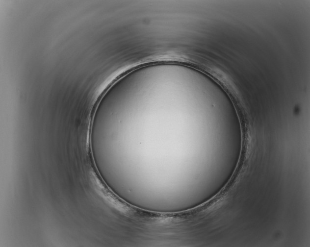 X0000116771228200912241156