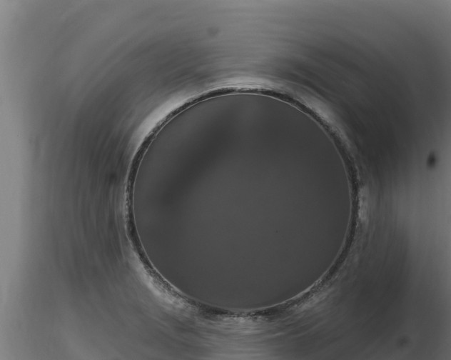 X0000116771229200912241156
