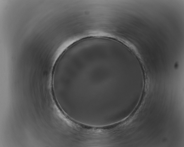 X0000116771231200912241156