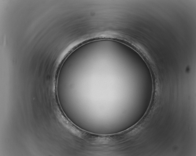 X0000116771232200912241156