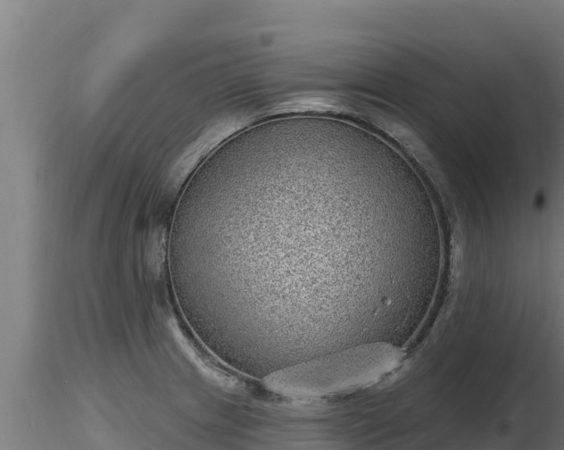 X0000116771233200912241156
